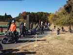 PC187237-s.jpg